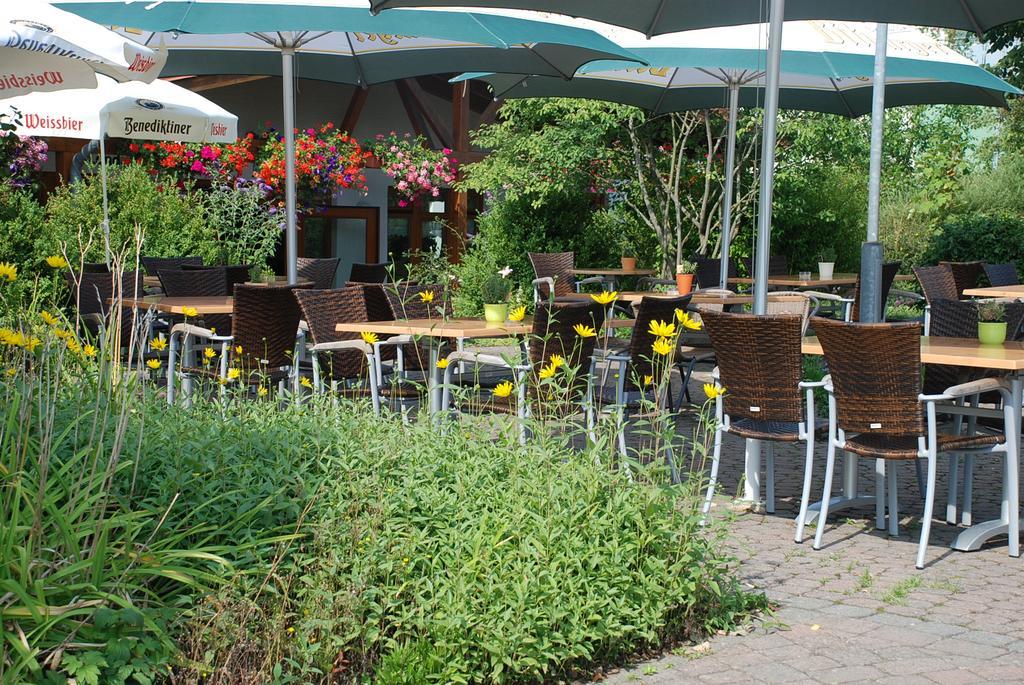 Gaenschen Klein Apartment Ellscheid Bagian luar foto
